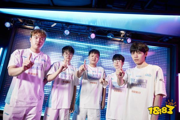 团队合作的 团队合作的